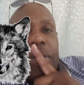 Meet your Posher, Harry